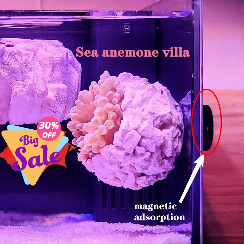 Aquarium Fish Escape - New DIY Handmade Floating Magnetic Sunflower