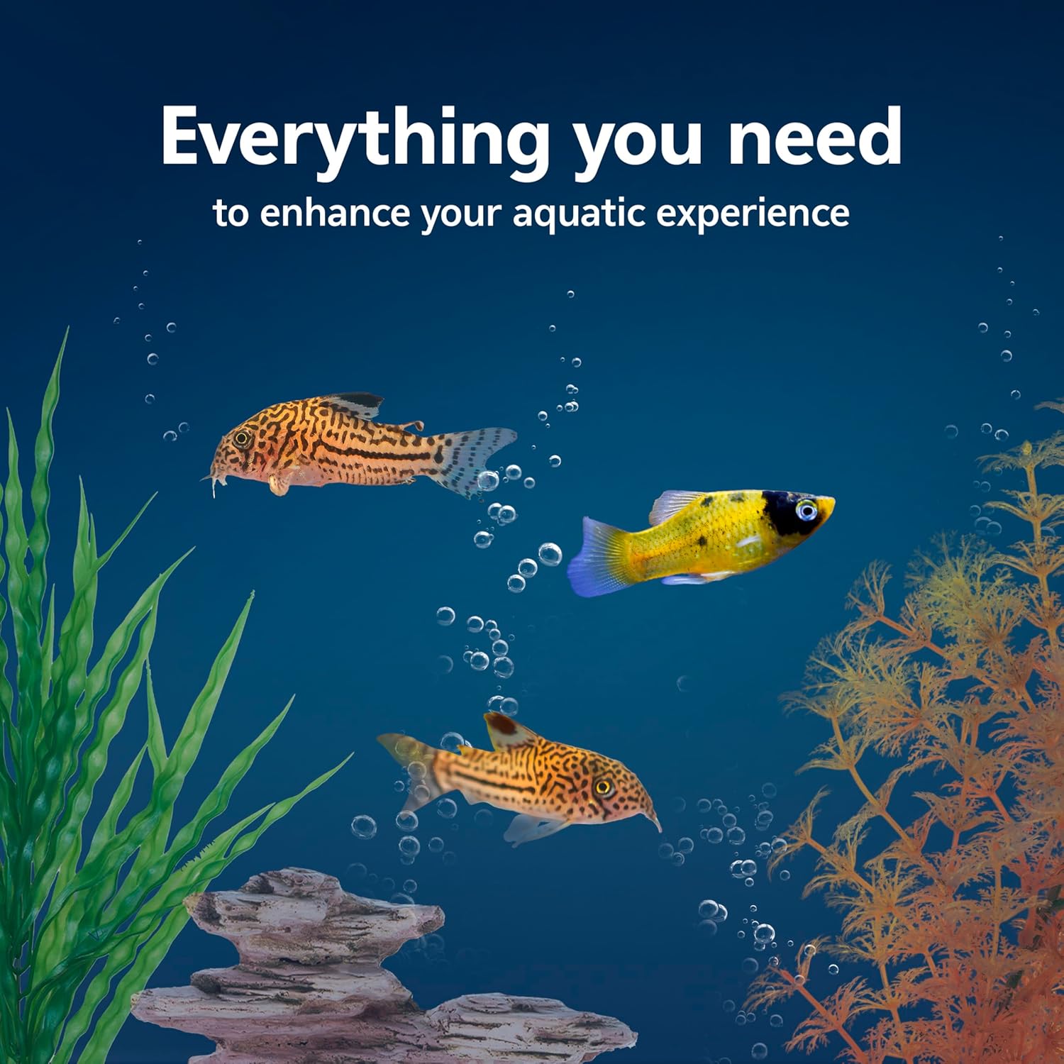 Aquarium Starter Kit with Smar – Tetra Fish In Aquarium recenzja i cena
