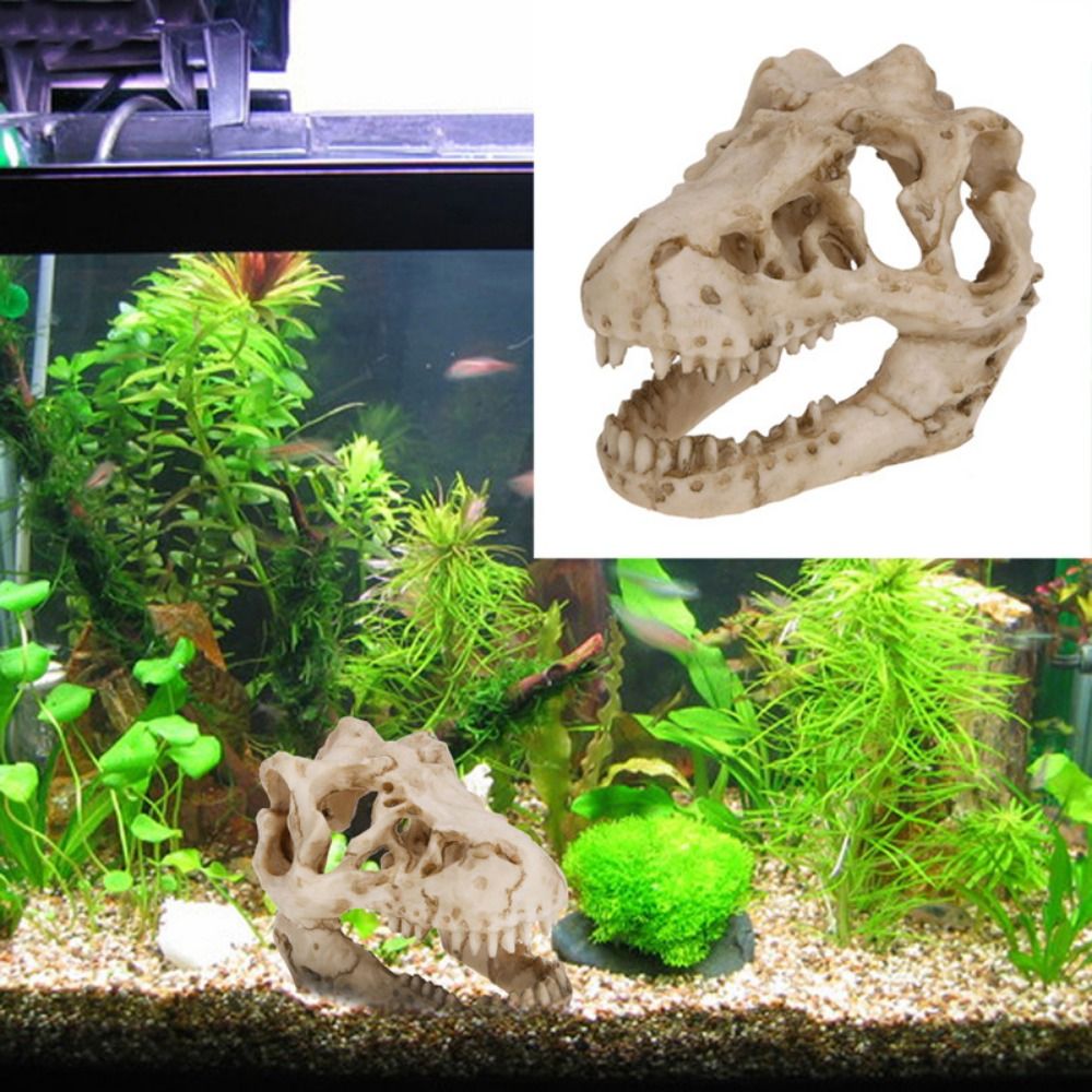 Creative Simulation Dinosaur S – Aquarium Fish Escape recenzja i cena