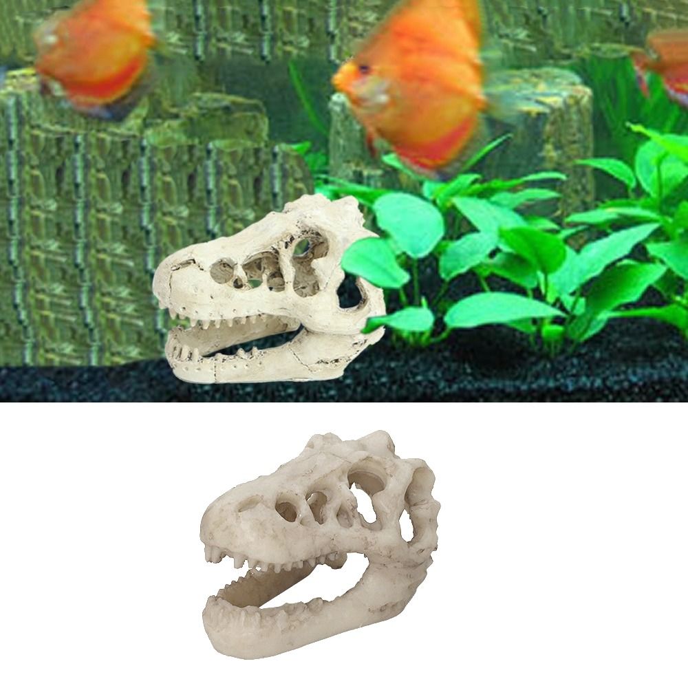 Creative Simulation Dinosaur S – Aquarium Fish Escape recenzja i cena