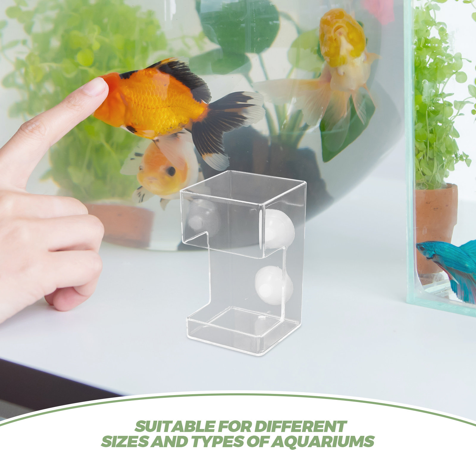 Fish Tank Acrylic Food Feeder  – Aquarium Fish Feeder Automatic recenzja i cena