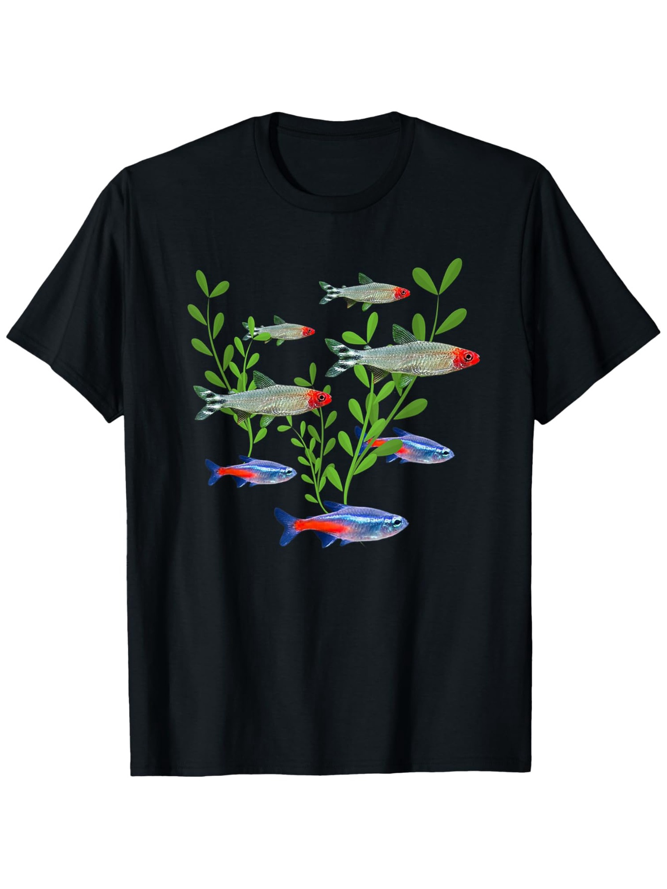 Men's Neon & Rummy Nose Tetras – Tetra Fish In Aquarium recenzja i cena