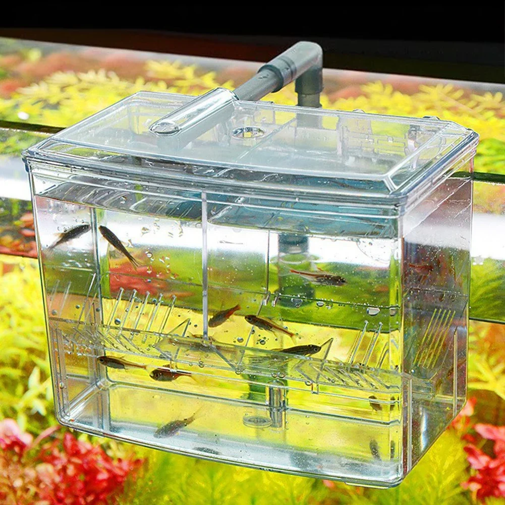 Aquarium Fish Breeding Box for – Aquarium Fish Jar recenzja i cena