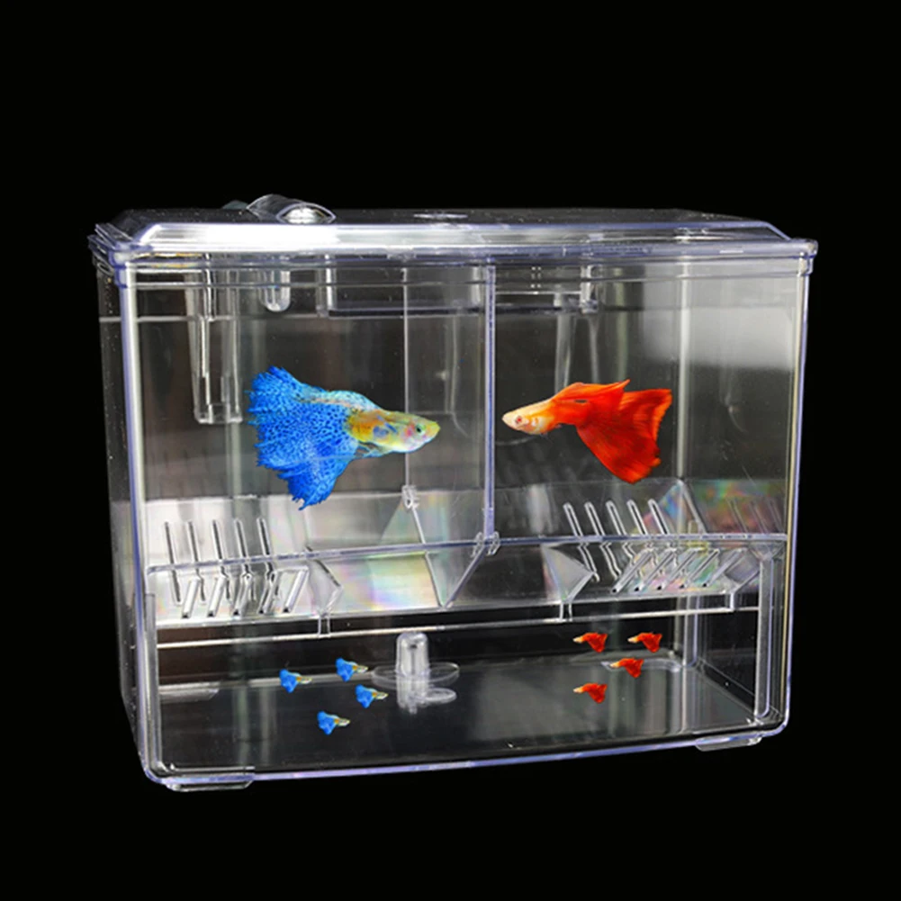 Aquarium Fish Breeding Box for – Aquarium Fish Jar recenzja i cena