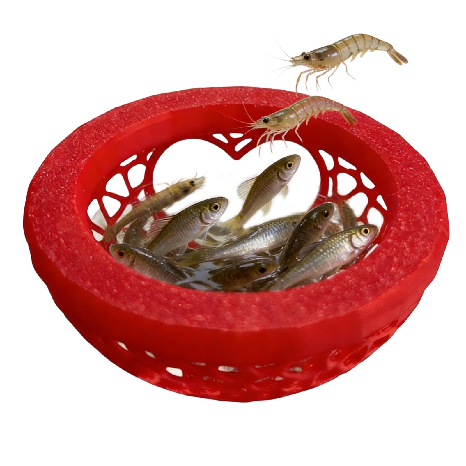 Floating betta shelter Betta h – Aquarium Fish Escape recenzja i cena