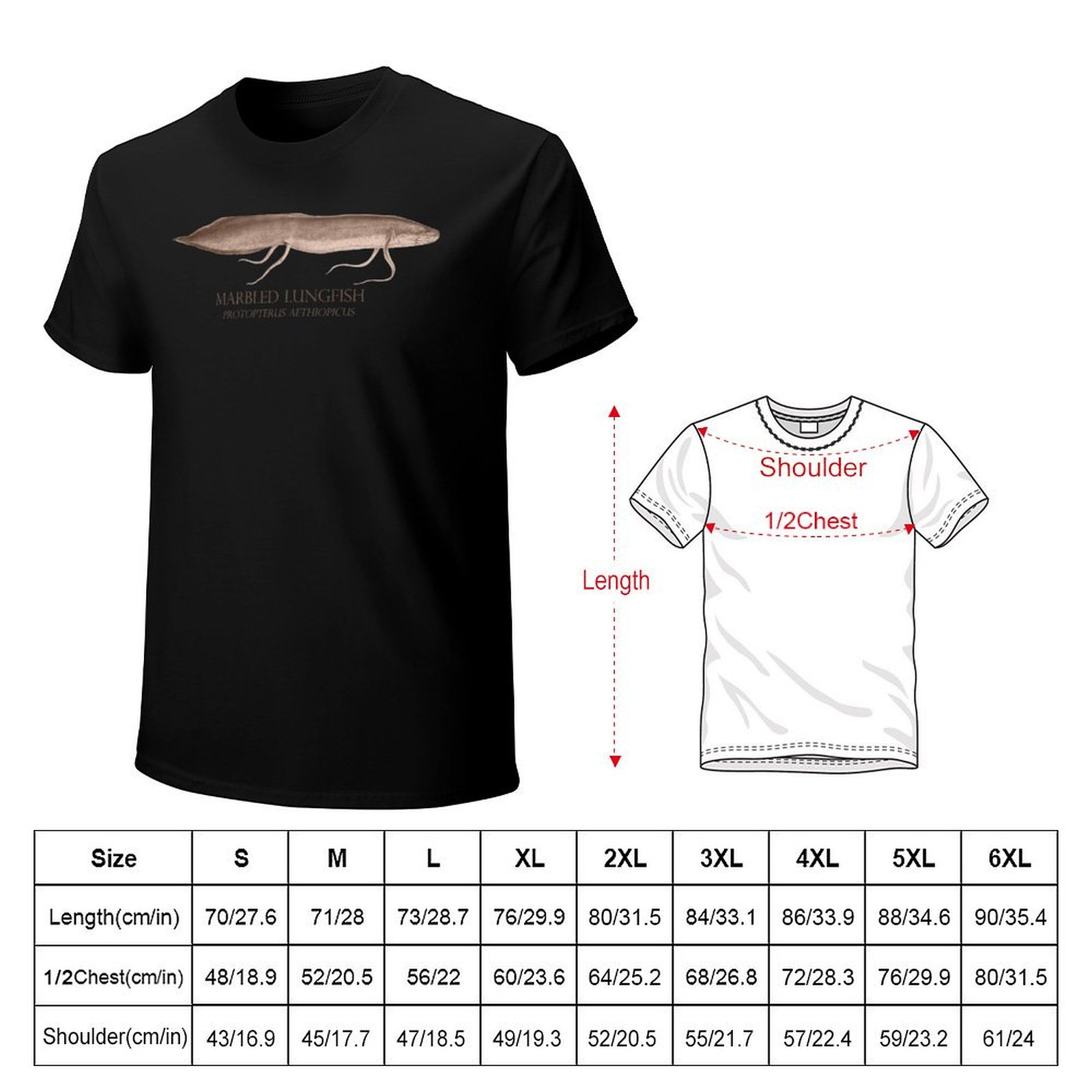 Lungfish Protopterus Aquarium  – Aquarium Fish Monster recenzja i cena