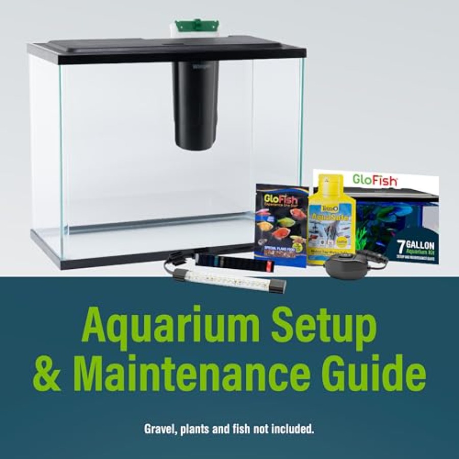 Aquarium Starter Kit 6.6 Gallo – Tetra Fish In Aquarium recenzja i cena