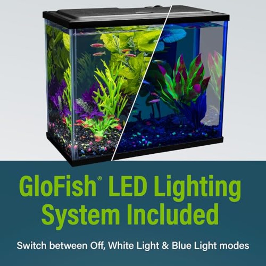 Aquarium Starter Kit 6.6 Gallo – Tetra Fish In Aquarium recenzja i cena