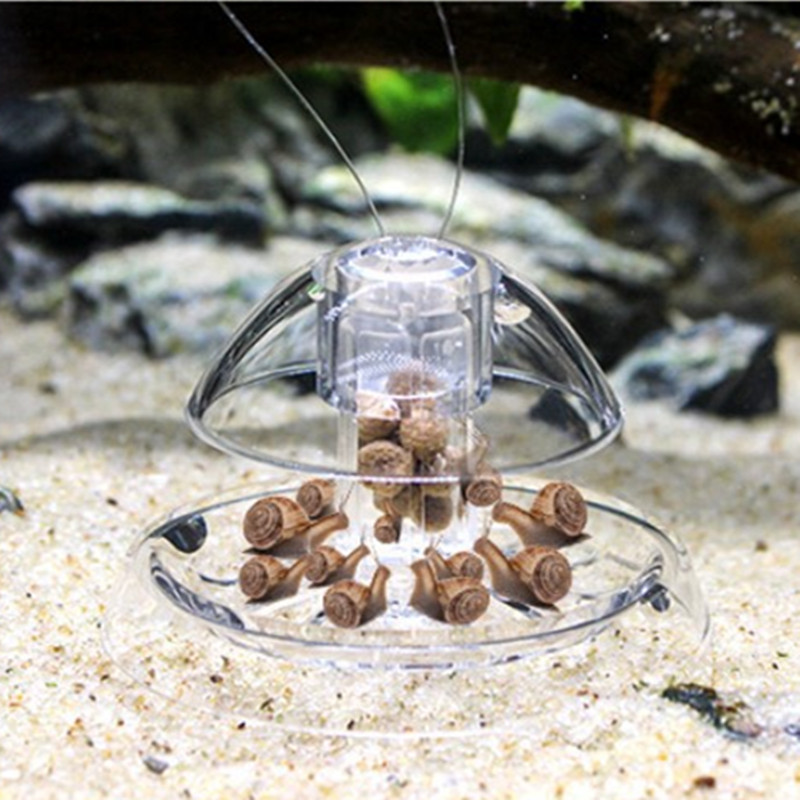 1PCS Fish Tank Aquarium Cleane – Aquarium Fish Escape recenzja i cena