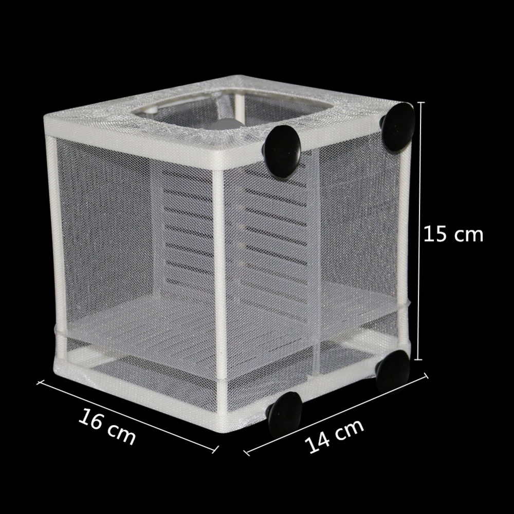 1 Pcs Fish Breeding Incubator  – Aquarium Fish Jar recenzja i cena