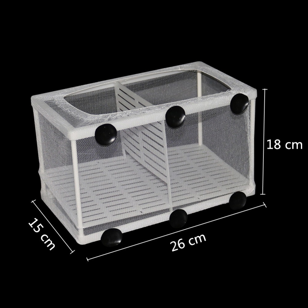 1 Pcs Fish Breeding Incubator  – Aquarium Fish Jar recenzja i cena