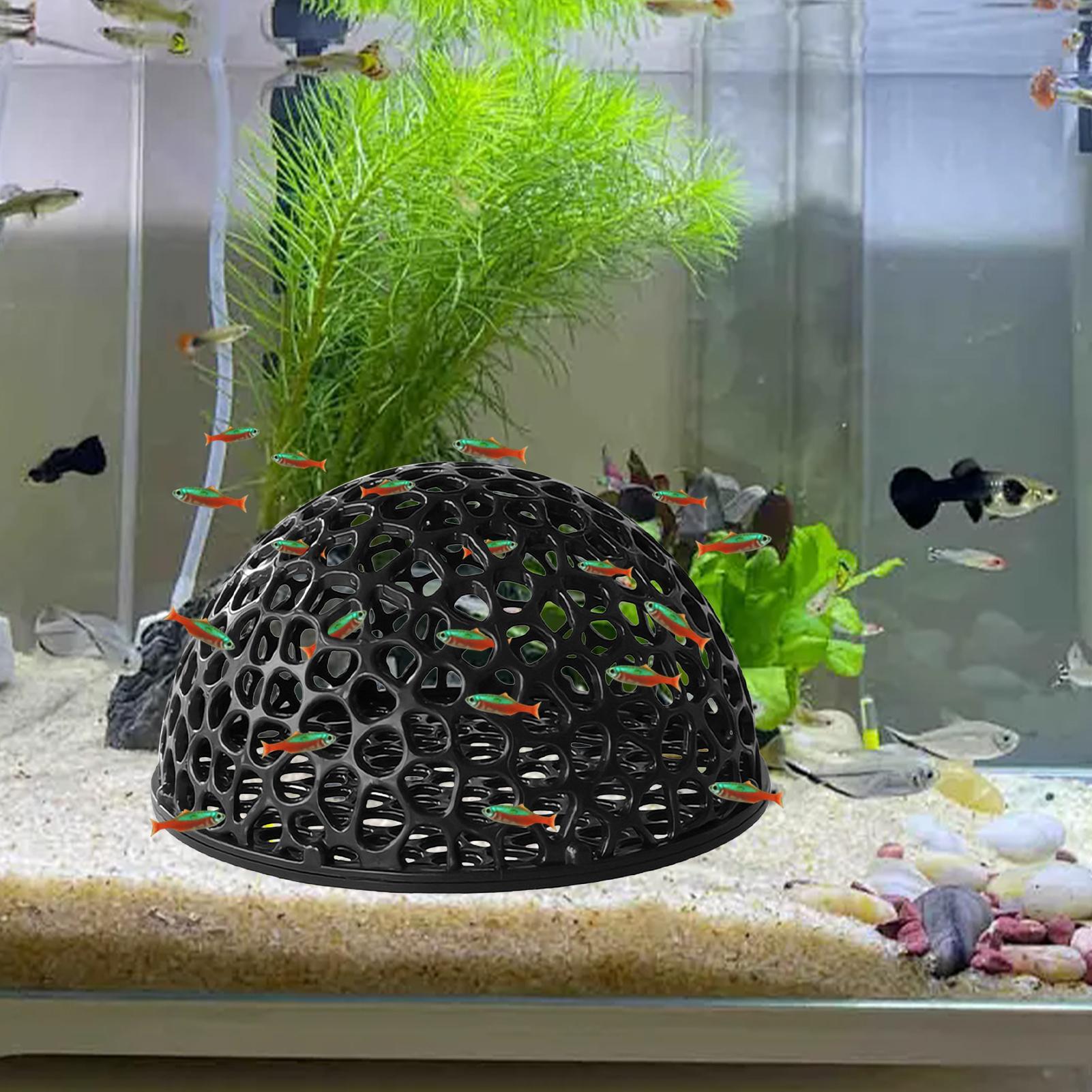 Shrimp Breeding Cave fish tank – Aquarium Fish Hide recenzja i cena