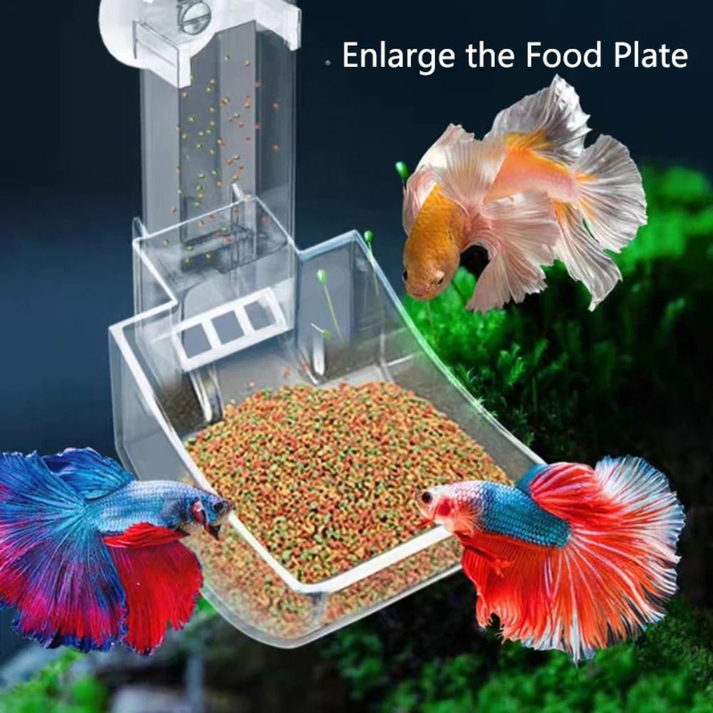 New Transparent Aquarium Fish  – Aquarium Fish Jar recenzja i cena