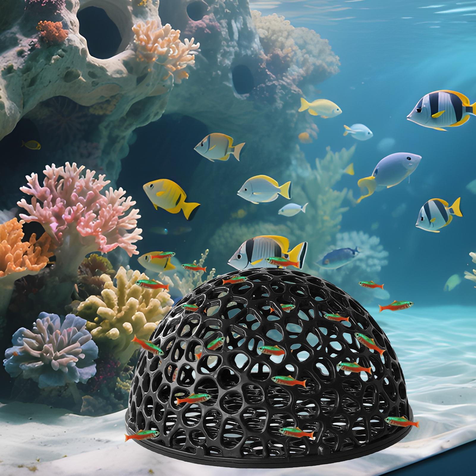 Aquarium Hiden Cave Shelter fo – Aquarium Fish Hide recenzja i cena