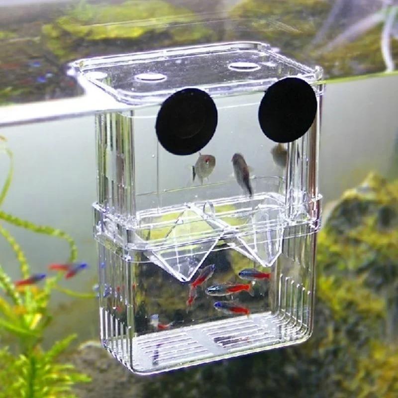 Transparent Fish Aquarium High – Aquarium Fish Jar recenzja i cena