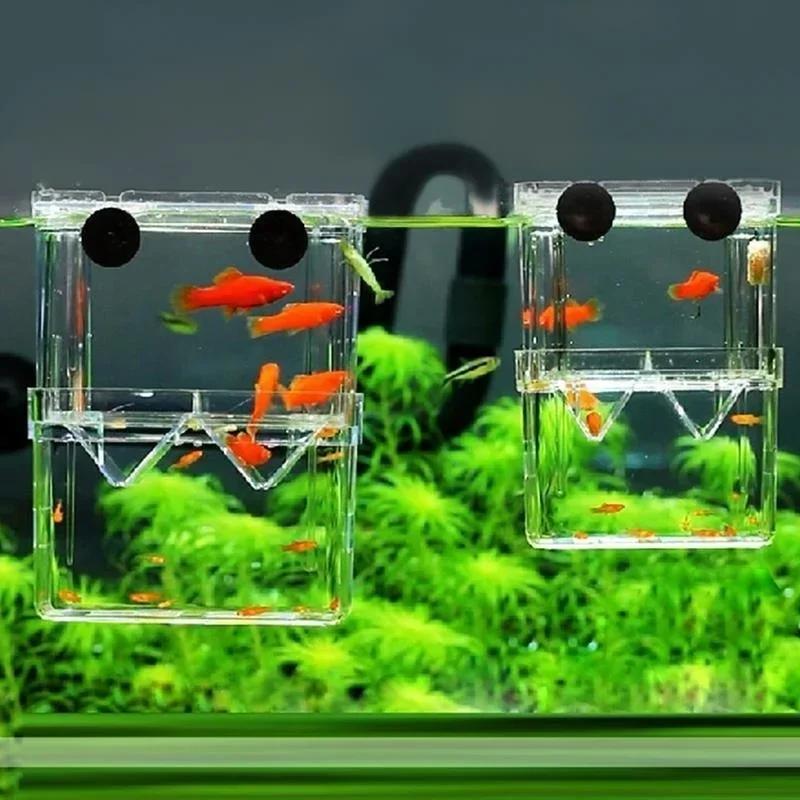 Transparent Fish Aquarium High – Aquarium Fish Jar recenzja i cena