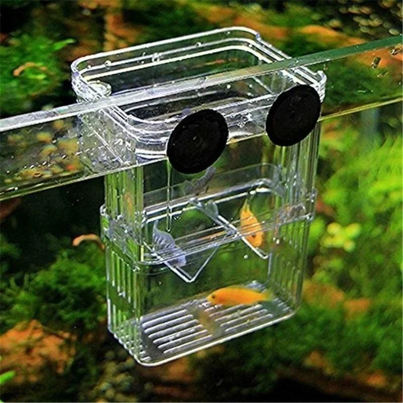 Transparent Fish Aquarium High – Aquarium Fish Jar recenzja i cena