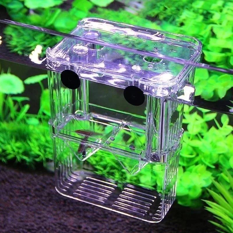 Transparent Fish Aquarium High – Aquarium Fish Jar recenzja i cena