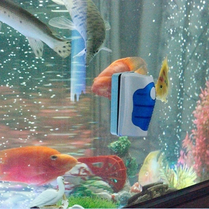 Fish Tank Glass Scraper Cleane – Aquarium Fish Escape recenzja i cena