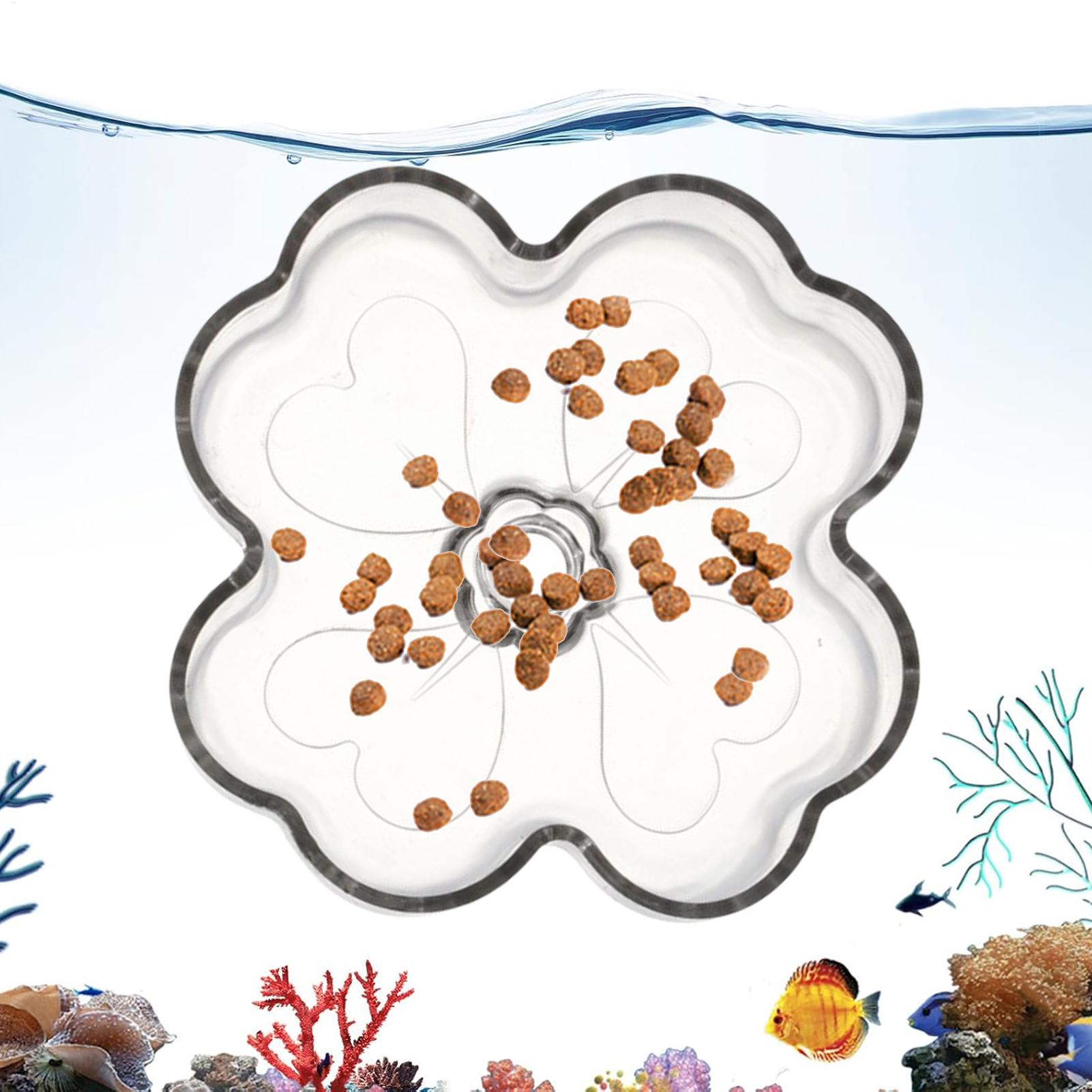 Aquarium Feeder Tray Suction C – Tetra Fish In Aquarium recenzja i cena