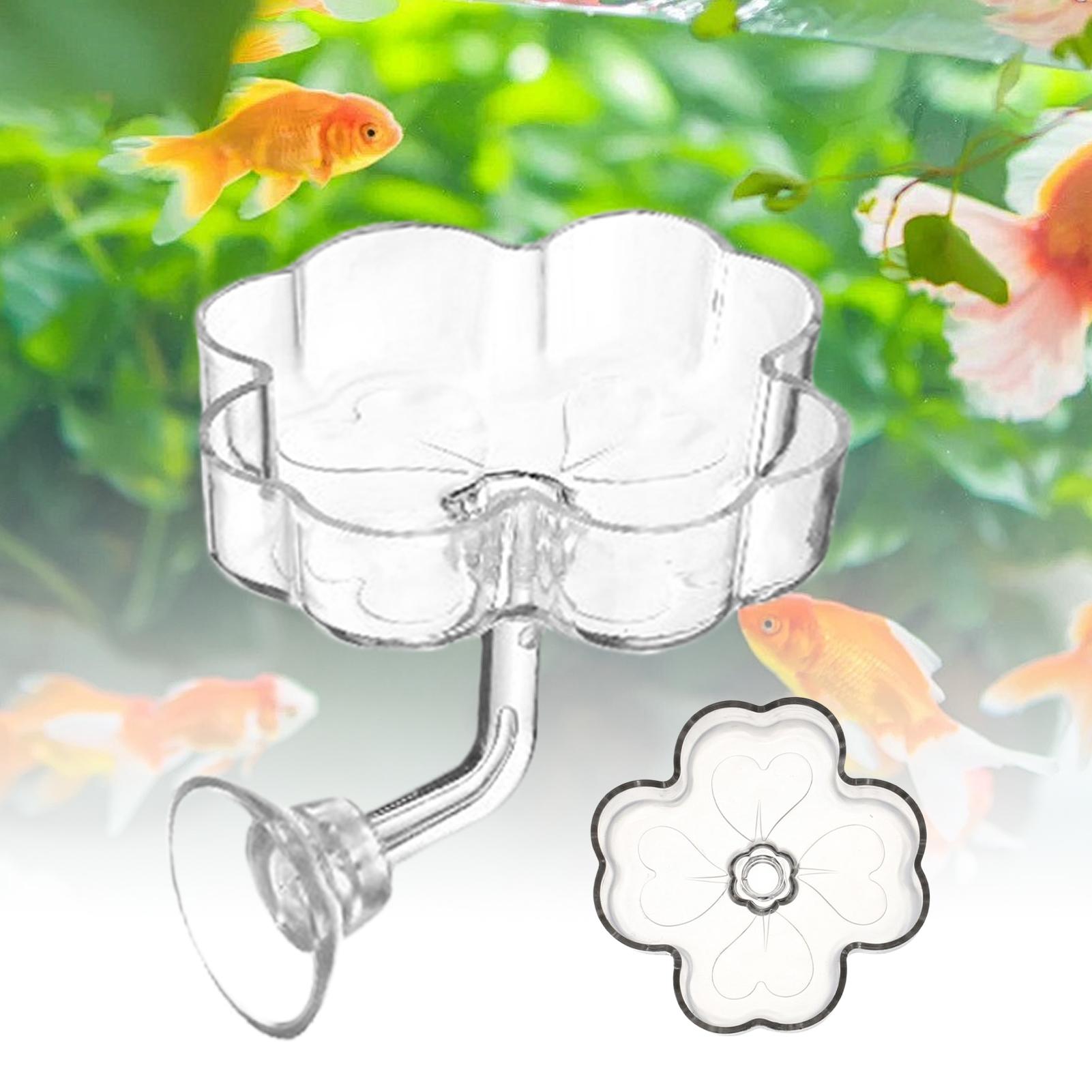 Aquarium Feeder Tray Suction C – Tetra Fish In Aquarium recenzja i cena