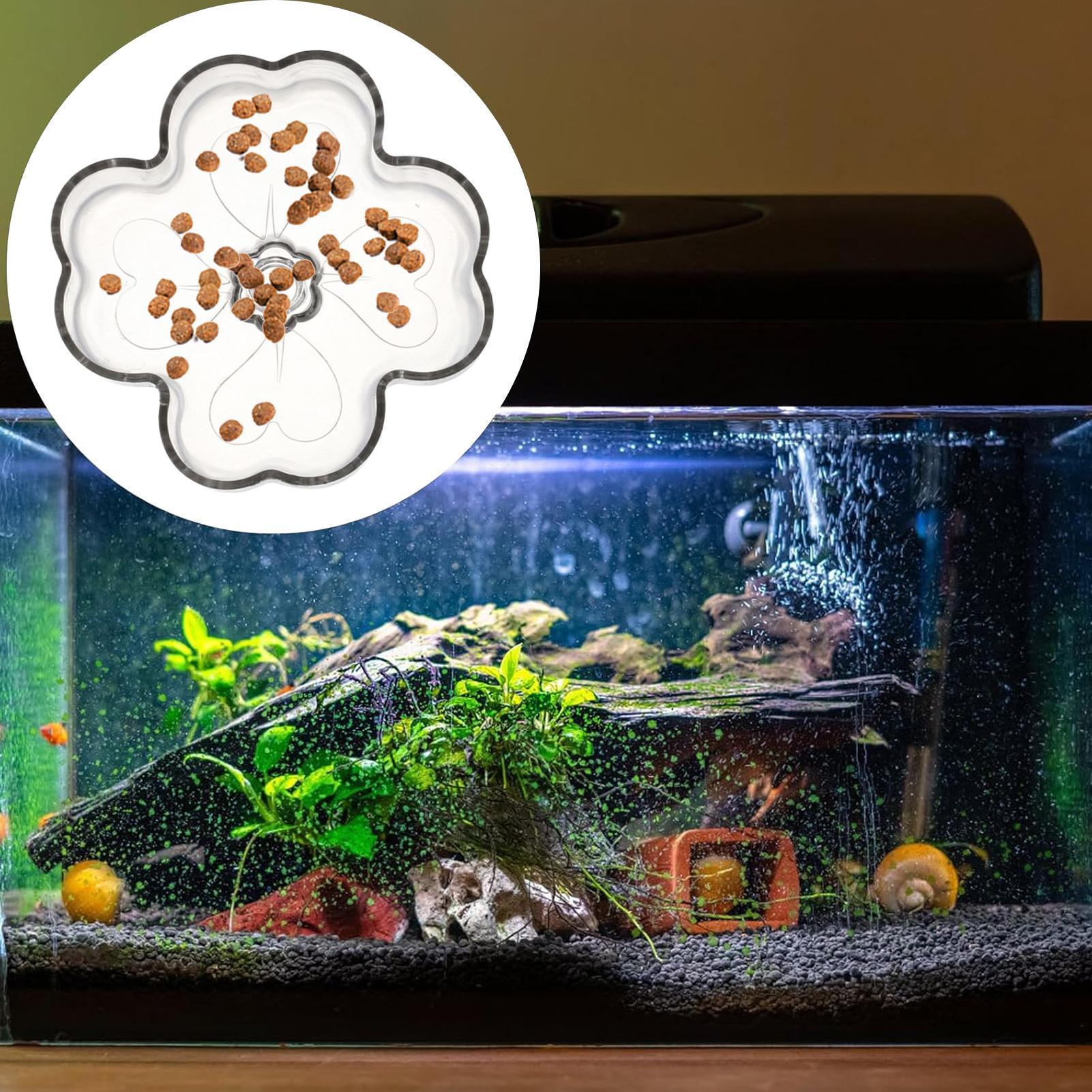 Aquarium Feeder Tray Suction C – Tetra Fish In Aquarium recenzja i cena