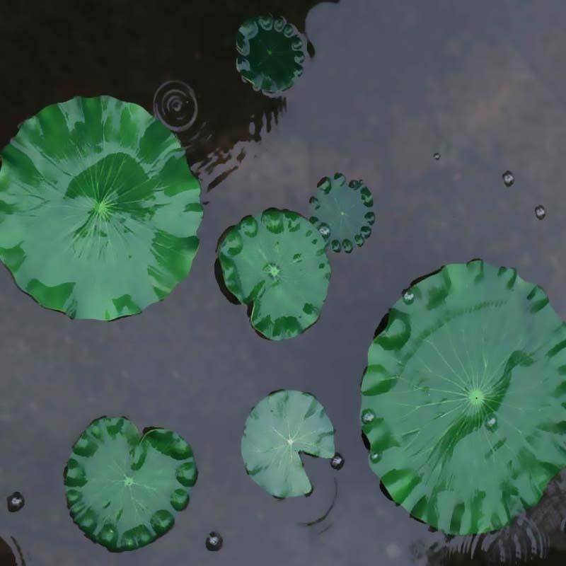 2026 Artificial Water Lily Lot – Aquarium Fish Escape recenzja i cena