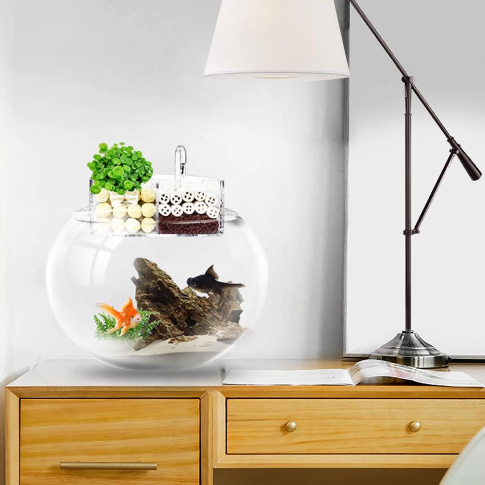 3-in-1 External Filter Box Han – Aquarium Fish Jar recenzja i cena