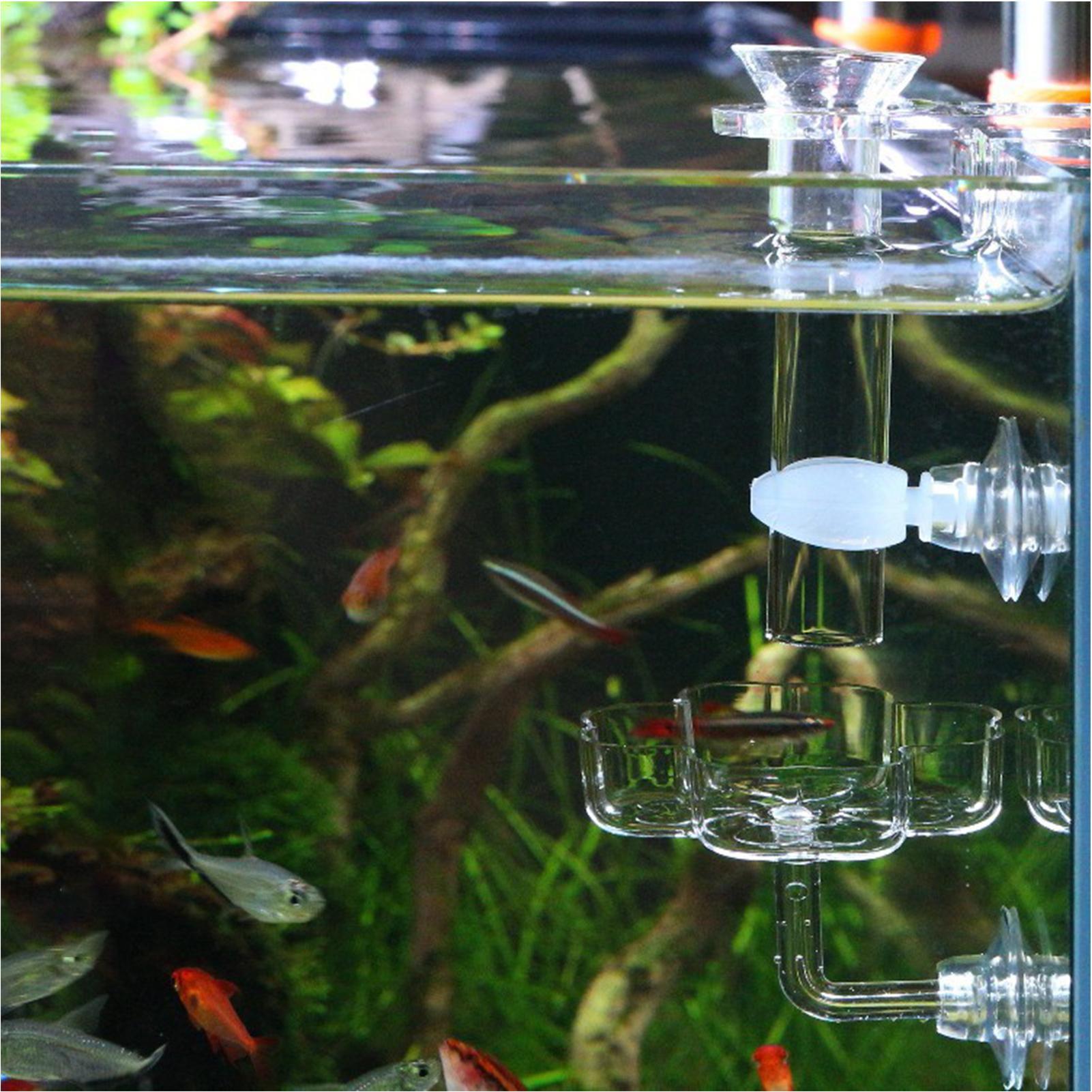 Aquarium Feeder Suction Cup Fl – Tetra Fish In Aquarium recenzja i cena