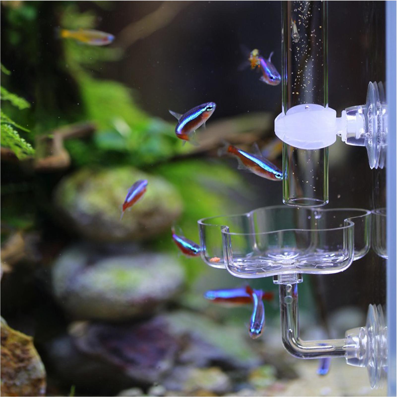 Aquarium Feeder Suction Cup Fl – Tetra Fish In Aquarium recenzja i cena