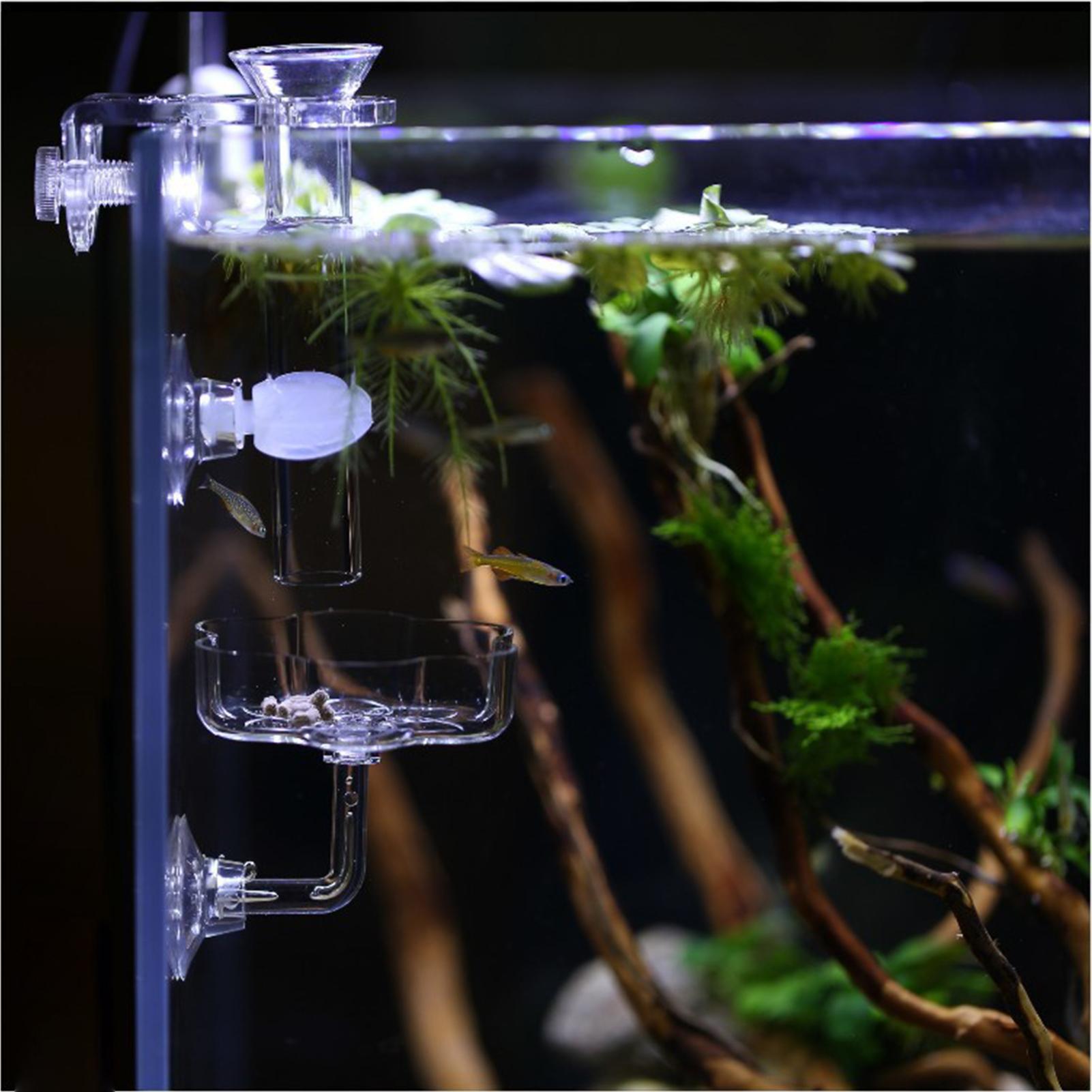 Aquarium Feeder Suction Cup Fl – Tetra Fish In Aquarium recenzja i cena