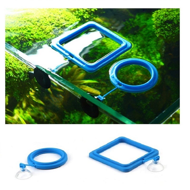 Fish Feeding Ring Feeder Fishi – Tetra Fish In Aquarium recenzja i cena