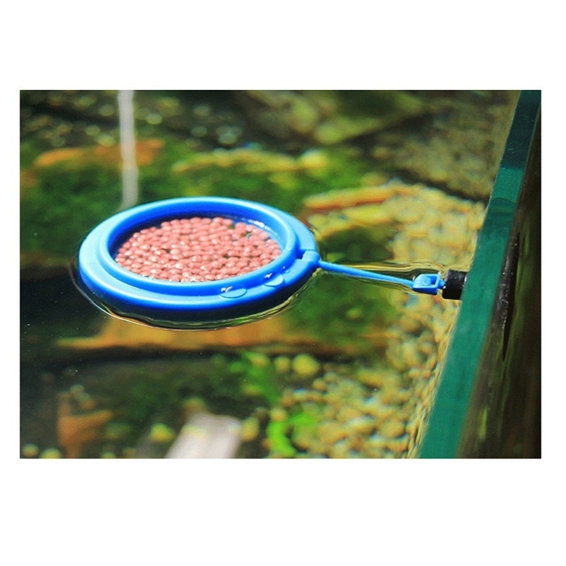 Fish Feeding Ring Feeder Fishi – Tetra Fish In Aquarium recenzja i cena