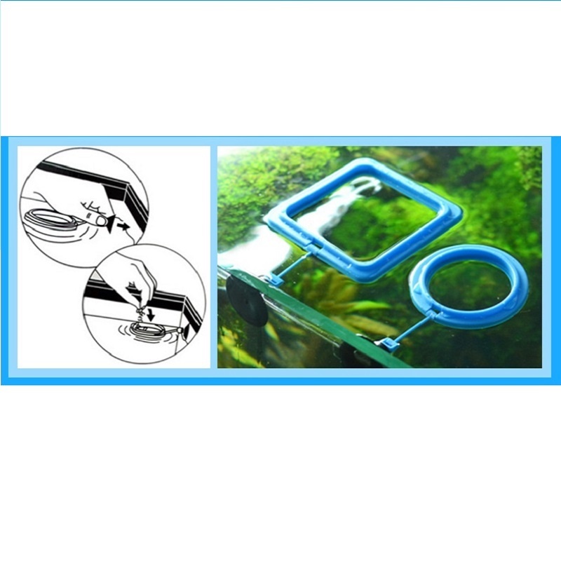 Fish Feeding Ring Feeder Fishi – Tetra Fish In Aquarium recenzja i cena