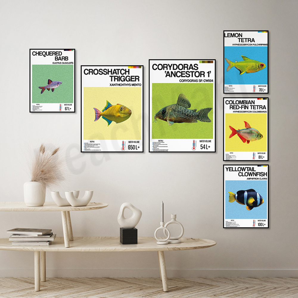 Aquarium, yellow tail clownfis – Tetra Fish In Aquarium recenzja i cena