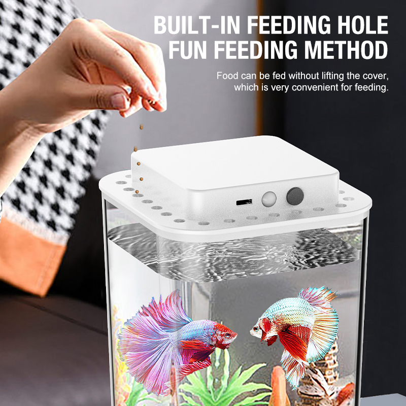 Desktop fish tank, new aquariu – Aquarium Fish Jar recenzja i cena