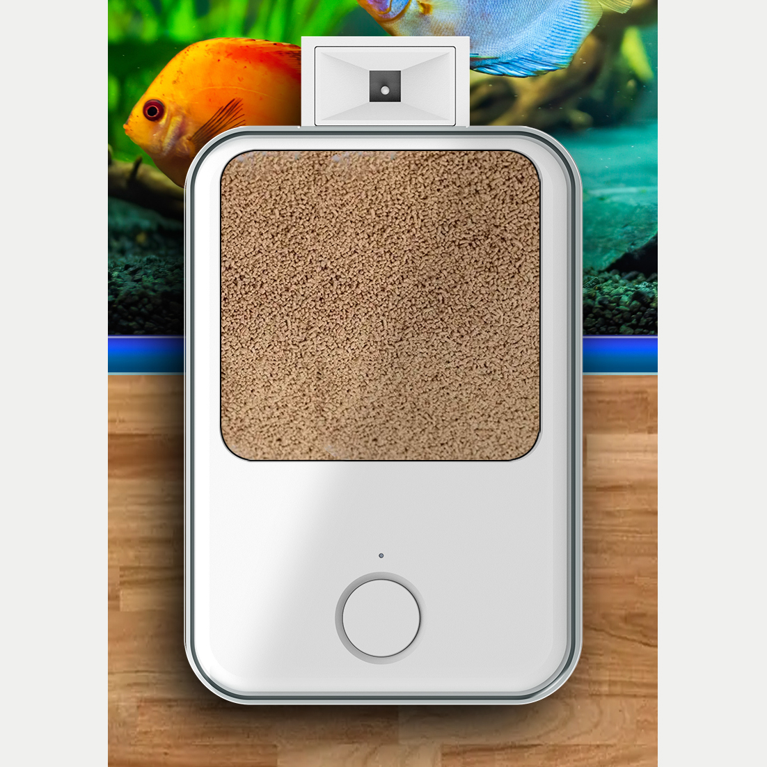 1PC WIFI/Button Version automa – Aquarium Fish Feeder Automatic recenzja i cena
