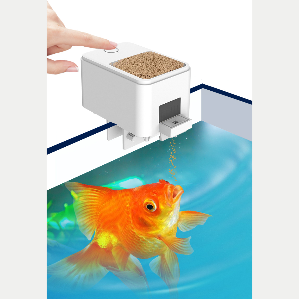 1PC WIFI/Button Version automa – Aquarium Fish Feeder Automatic recenzja i cena