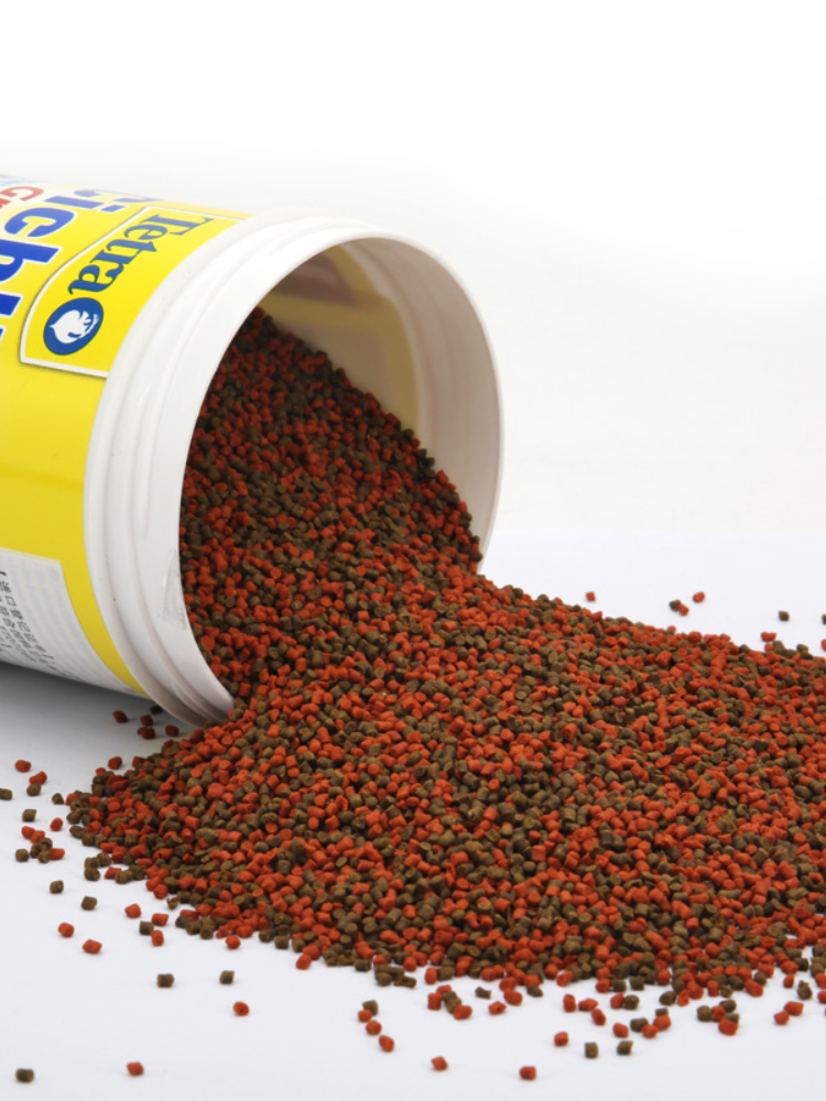 Tetra Cichlid Granules Clear W – Tetra Fish In Aquarium recenzja i cena