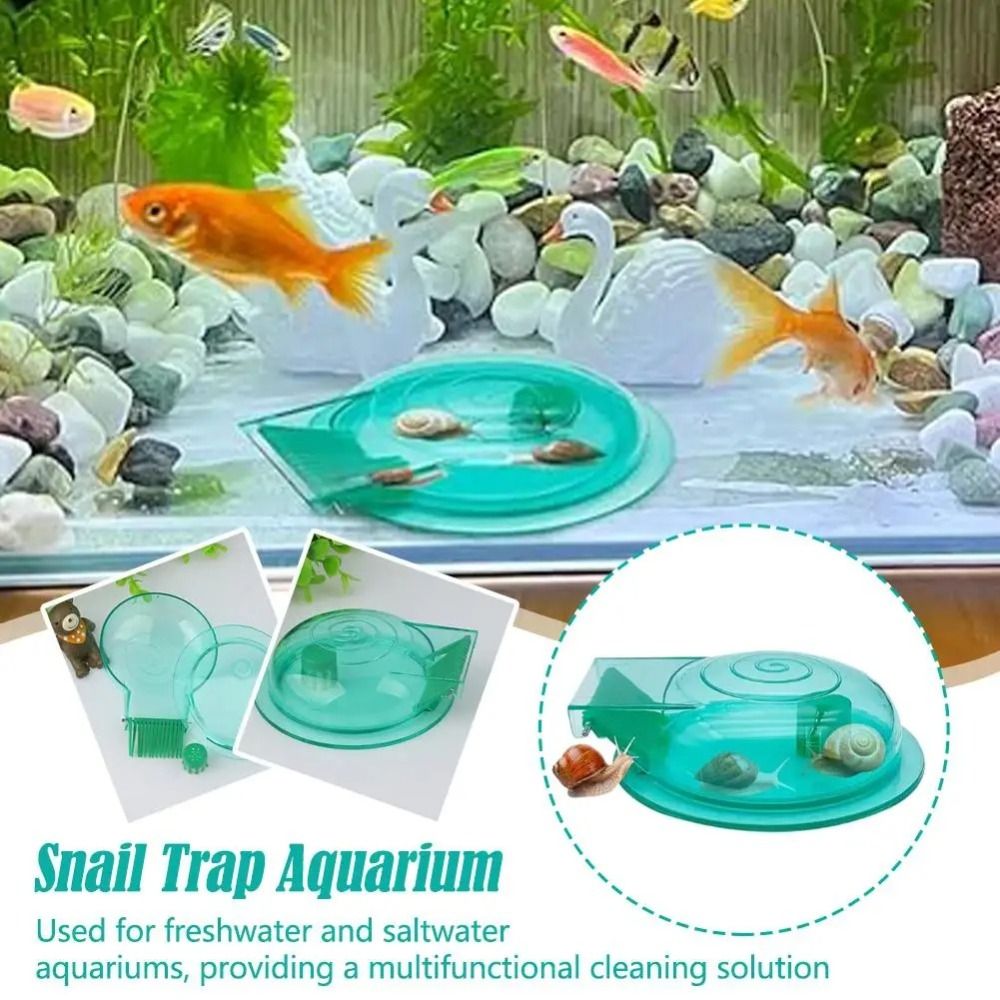 Freshwater Saltwater Aquarium  – Aquarium Fish Escape recenzja i cena