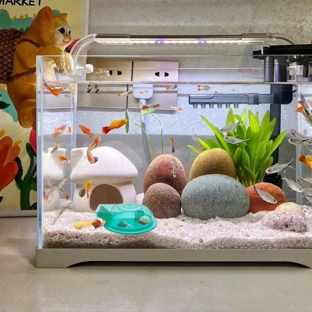 Freshwater Saltwater Aquarium  – Aquarium Fish Escape recenzja i cena