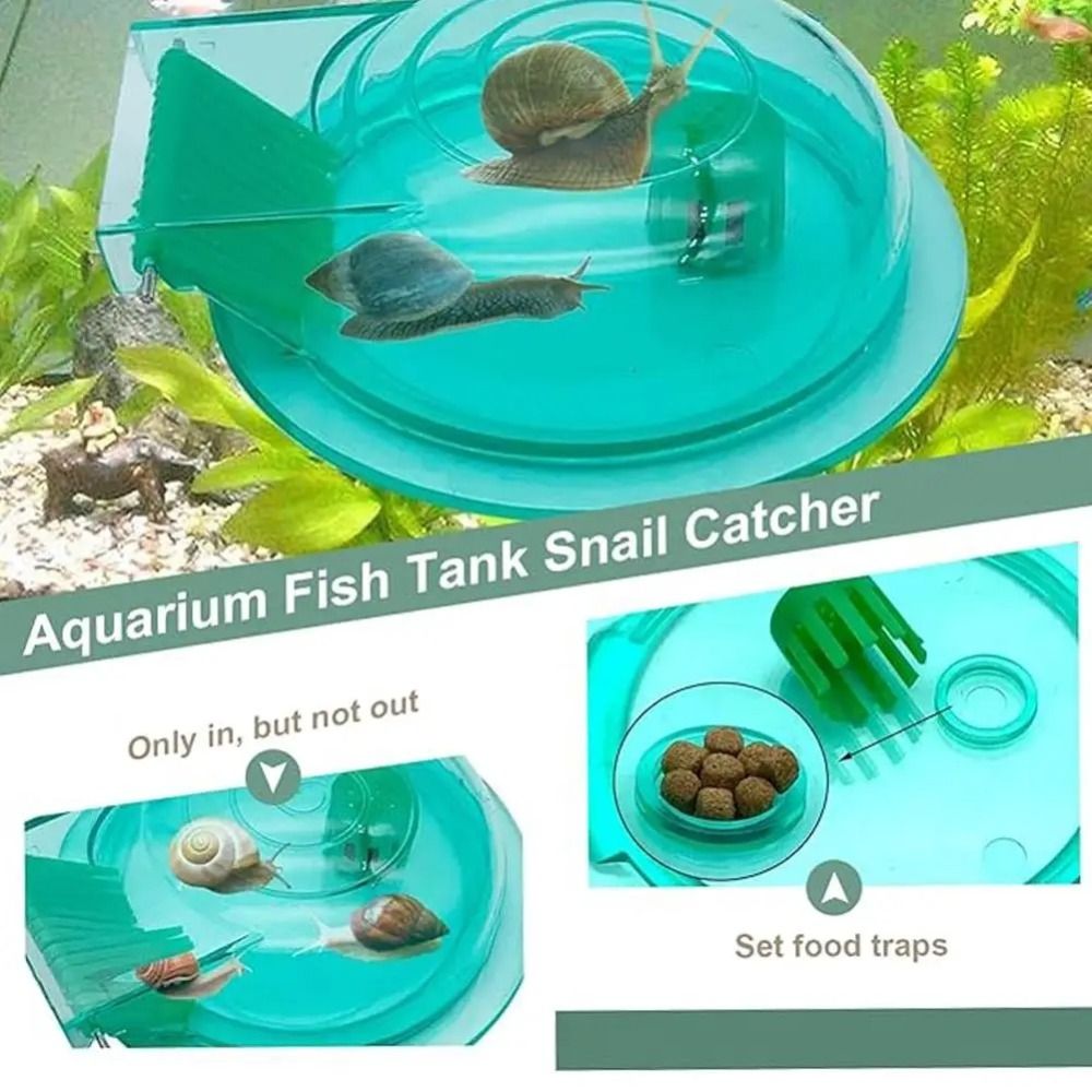 Freshwater Saltwater Aquarium  – Aquarium Fish Escape recenzja i cena