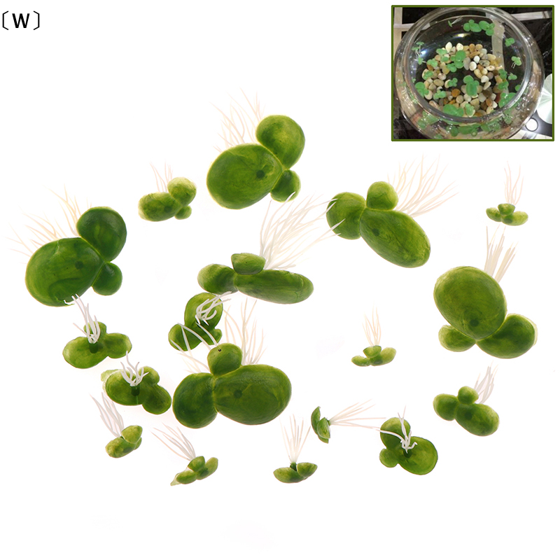 〔W〕18pcs/set Aquarium Fish Tan – Aquarium Fish Escape recenzja i cena