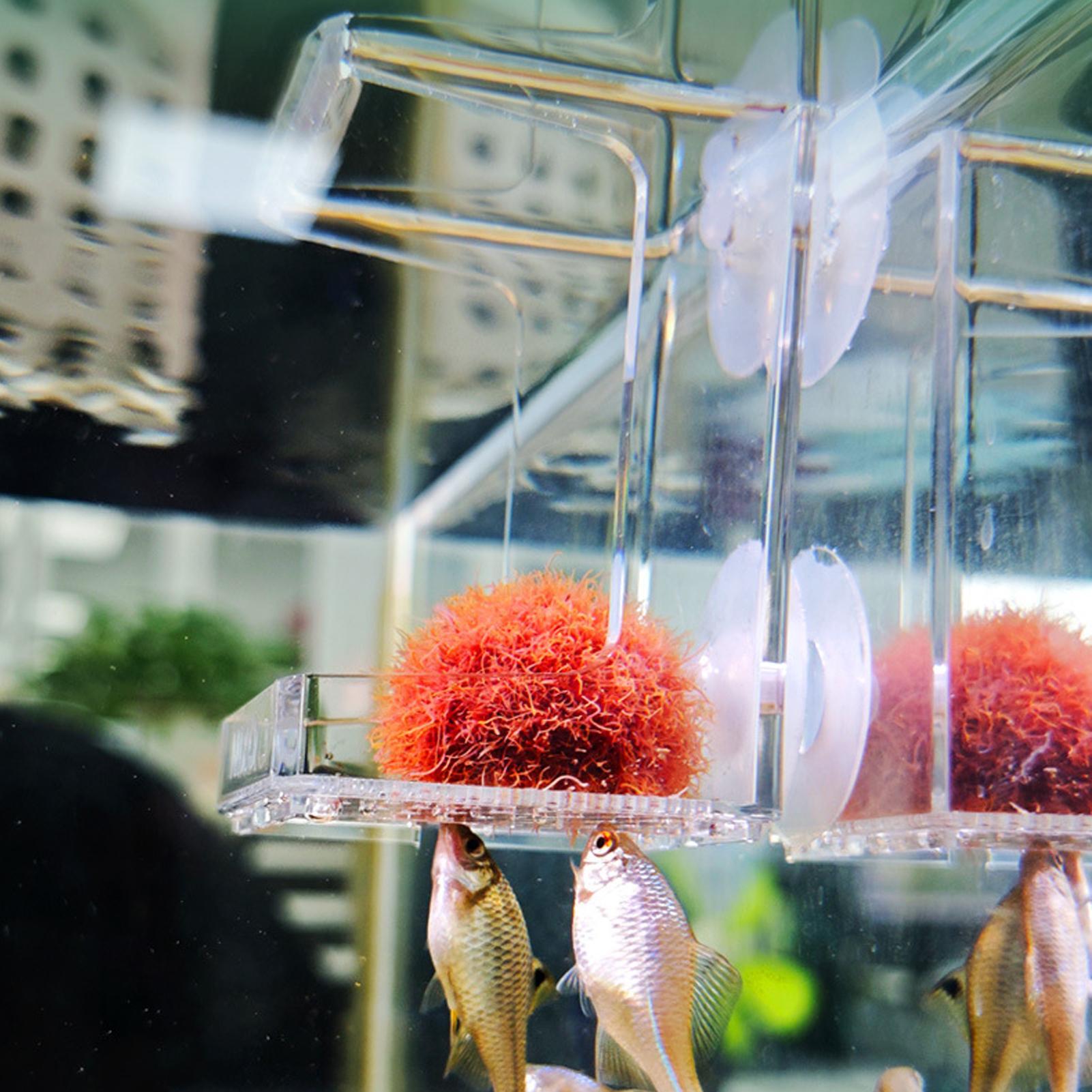 Aquarium Feeder Suction Cup Aq – Tetra Fish In Aquarium recenzja i cena