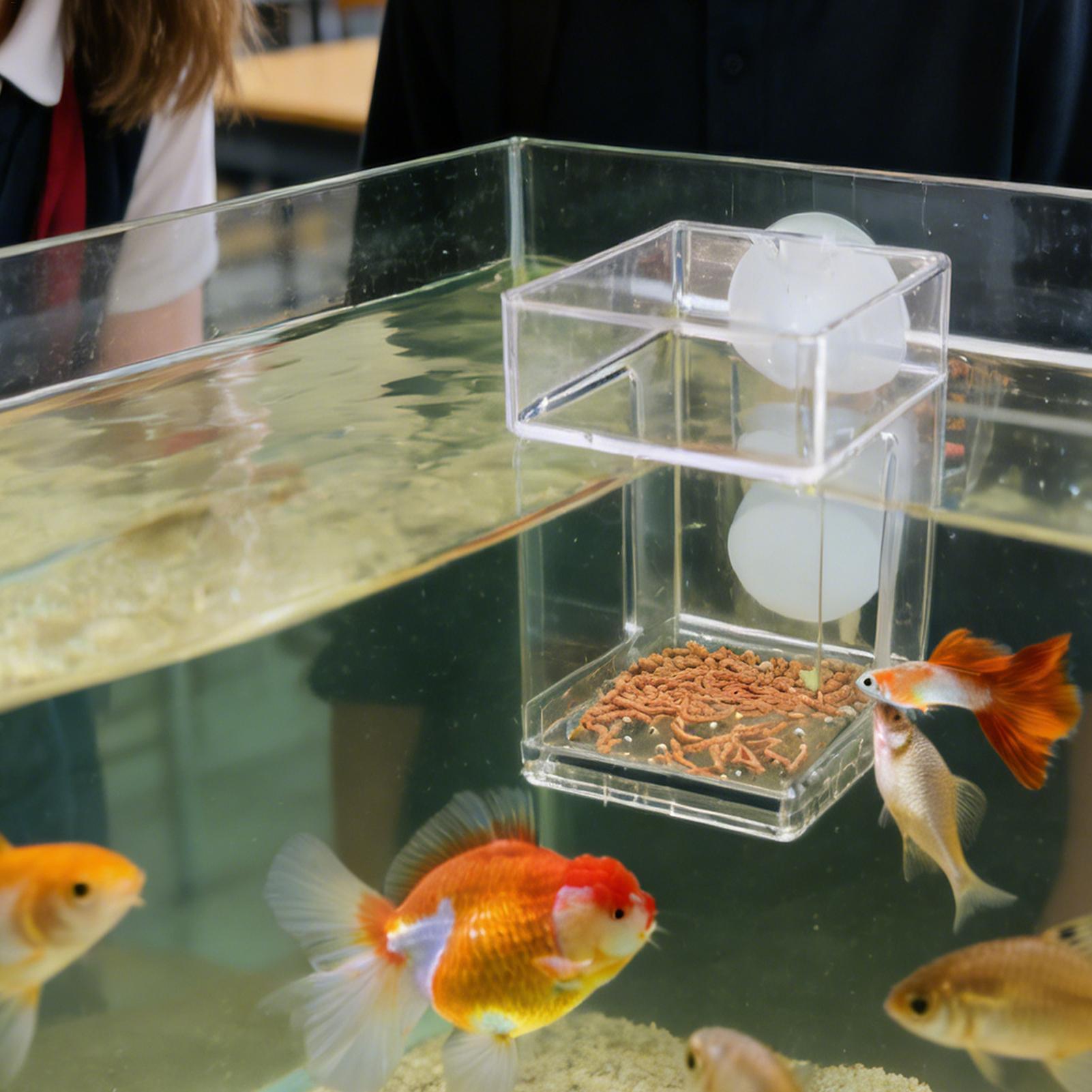 Aquarium Feeder Suction Cup Aq – Tetra Fish In Aquarium recenzja i cena
