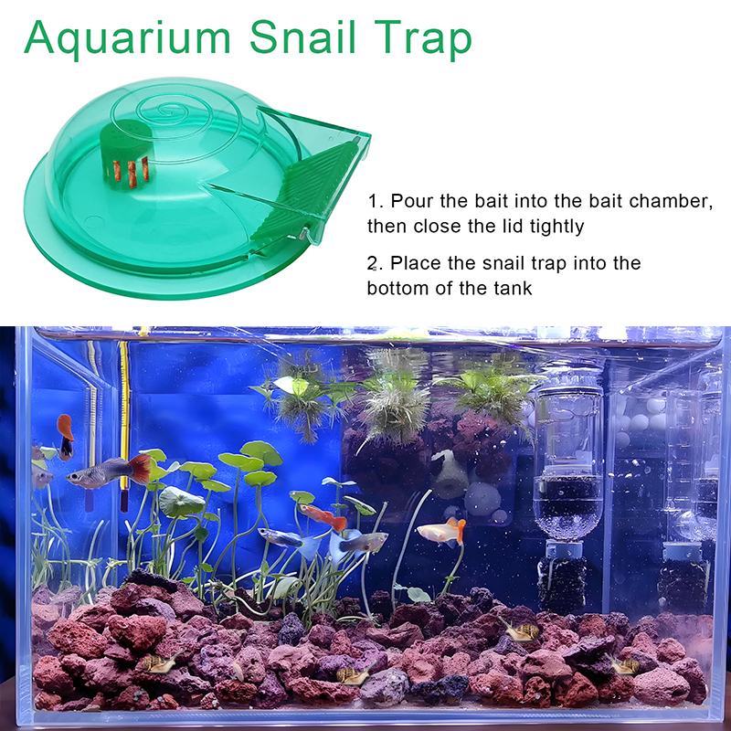 Aquarium Snail Trap, Plastic S – Aquarium Fish Escape recenzja i cena