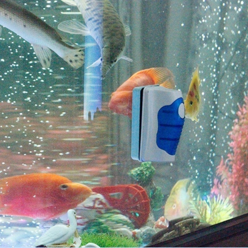 Fish Tank Glass Scraper Cleane – Aquarium Fish Escape recenzja i cena