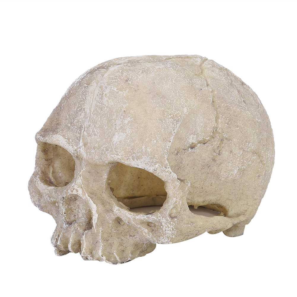 Resin Simulated Head Bone Skul – Aquarium Fish Hide recenzja i cena
