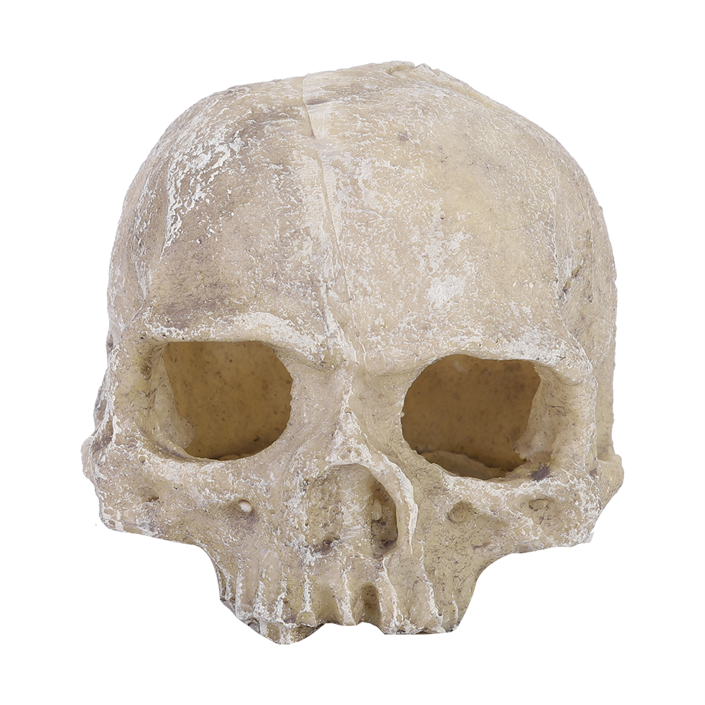 Resin Simulated Head Bone Skul – Aquarium Fish Hide recenzja i cena