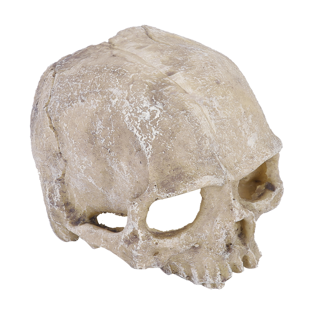 Resin Simulated Head Bone Skul – Aquarium Fish Hide recenzja i cena